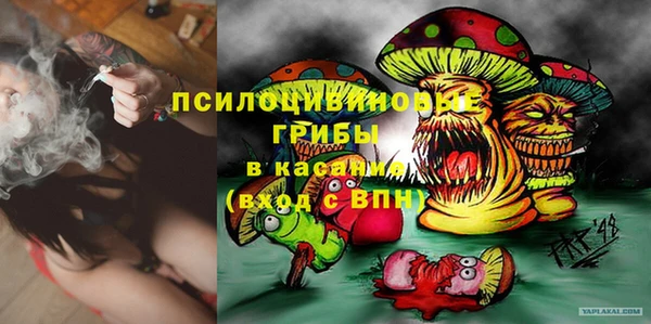 твердый Алзамай