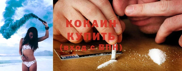 твердый Алзамай