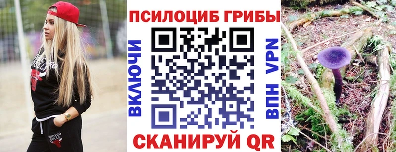 что такое   Уссурийск  Галлюциногенные грибы Psilocybe 